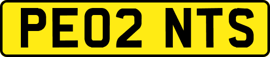 PE02NTS
