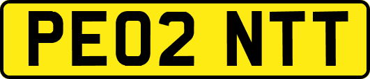 PE02NTT