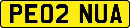 PE02NUA