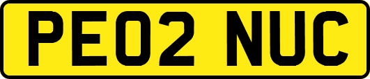 PE02NUC