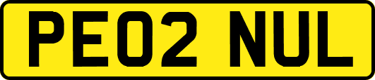 PE02NUL