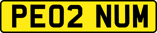 PE02NUM