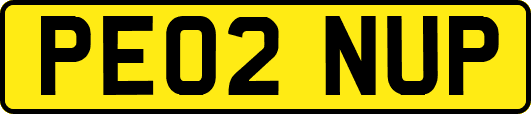 PE02NUP