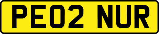 PE02NUR