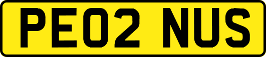 PE02NUS