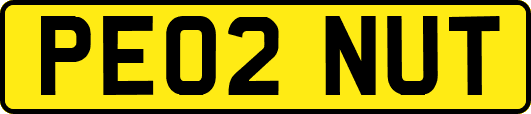 PE02NUT