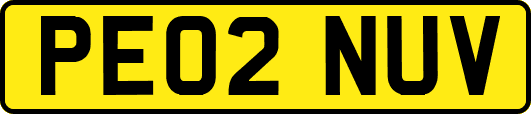 PE02NUV