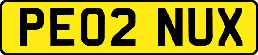 PE02NUX