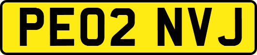 PE02NVJ