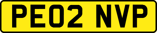 PE02NVP