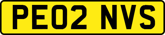 PE02NVS