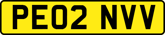 PE02NVV
