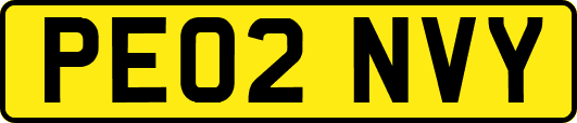 PE02NVY