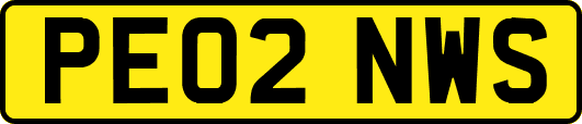 PE02NWS