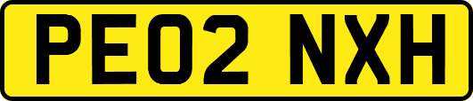 PE02NXH