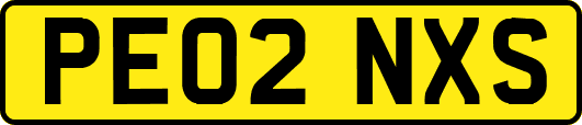 PE02NXS