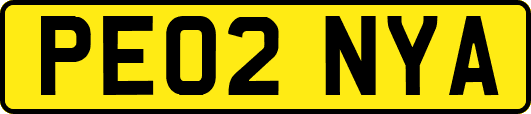 PE02NYA