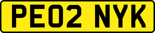 PE02NYK