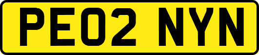 PE02NYN