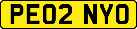 PE02NYO