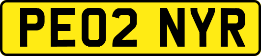 PE02NYR