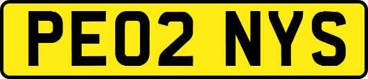 PE02NYS