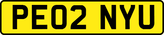 PE02NYU