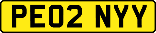 PE02NYY
