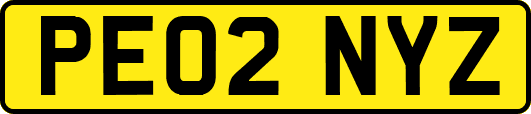 PE02NYZ