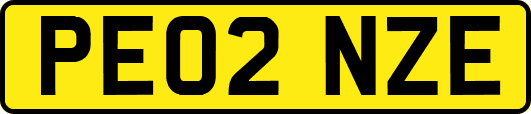 PE02NZE