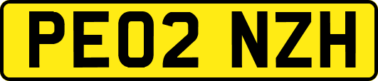 PE02NZH