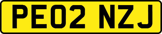 PE02NZJ