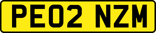 PE02NZM