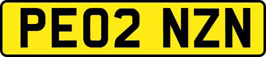 PE02NZN
