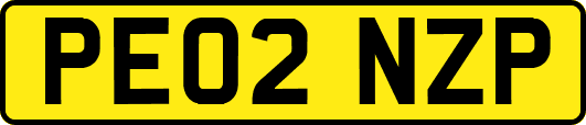 PE02NZP