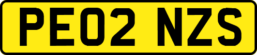 PE02NZS