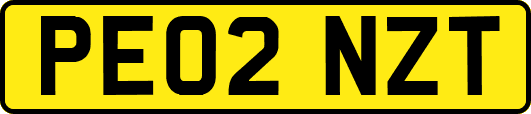 PE02NZT