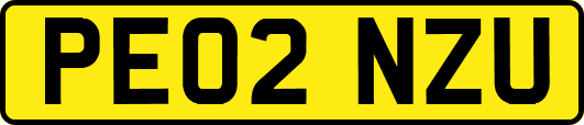 PE02NZU