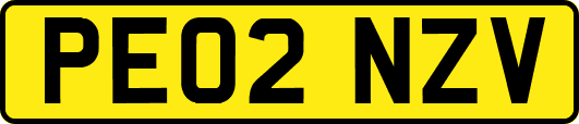 PE02NZV