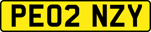 PE02NZY