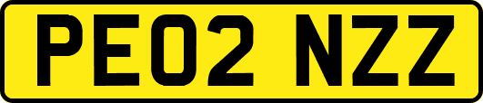 PE02NZZ