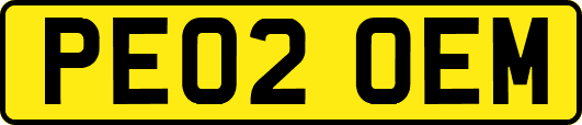 PE02OEM