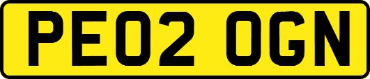 PE02OGN
