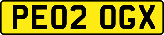 PE02OGX