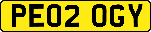 PE02OGY