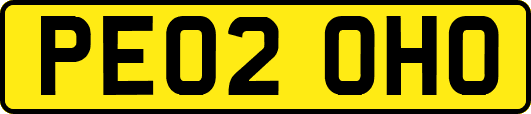 PE02OHO