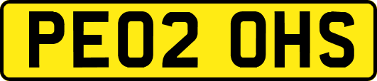 PE02OHS