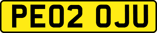 PE02OJU