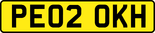PE02OKH