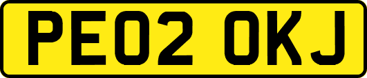PE02OKJ